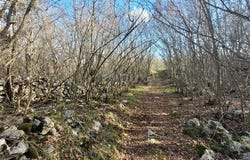 Krk, Primorsko-goranska