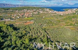 Stari grad, Splitsko-dalmatinska 21465