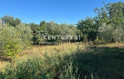 Istarska županija, Istria County 52474