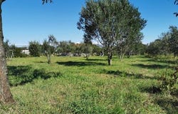 Dobropoljana, Zadarsko-kninska 23262