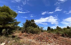 Ugljan, Zadarsko-kninska