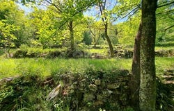 Opatija, Primorsko-goranska