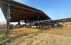 Osijek, Osjecko-baranjska