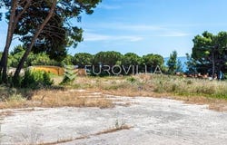 Bol, Splitsko-dalmatinska