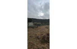 Rogoznica, Sibenska 22203