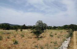 Brac, Splitsko-dalmatinska 21423
