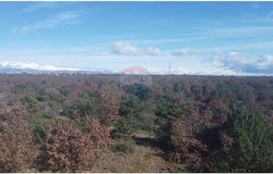 Poličnik, Zadarsko-kninska