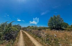 Buje, Istarska