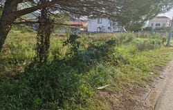 Bibinje, Zadarsko-kninska