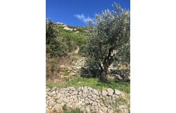 Babino Polje, Dubrovacko-neretvanska 20225