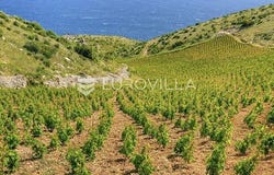 Hvar, Splitsko-dalmatinska