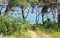 Jelsa, Split-Dalmatia County 21465