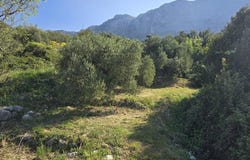 Podgora, Split-Dalmatia County 21327