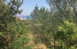 Preko, Zadarsko-kninska