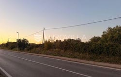Zadar, Zadarsko-kninska
