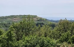 Buje, Istarska