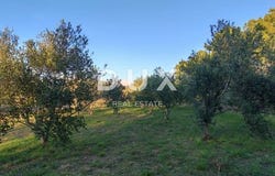 Vrsi, Splitsko-dalmatinska