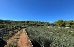 Supetar, Split-Dalmatia County 21400