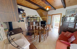 Poreč, Istria County 52440