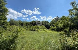 Barban, Istarska