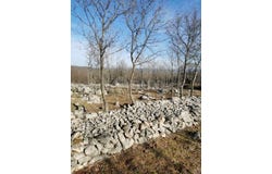 Krk, Primorsko-goranska