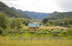 Delnice, Primorsko-goranska