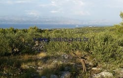 Mirca, Splitsko - dalmatinska 21400