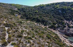 Vis, Splitsko-dalmatinska 21485