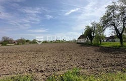 vinkovci, Vukovarsko-srijemska