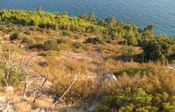 Hvar, Splitsko-dalmatinska 21450