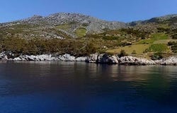 67190 Jagodna, Jagonda, Hvar 21465
