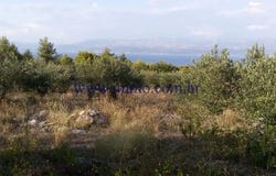 Mirca, Splitsko - dalmatinska 21400