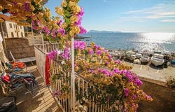 Vis, Splitsko-dalmatinska 21485
