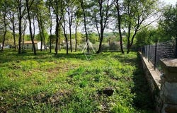 Tinjan, Istarska