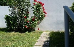 Čiovo, Split-Dalmatia County 21220
