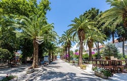 Brac, Splitsko-dalmatinska