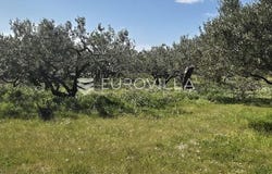Brac, Splitsko-dalmatinska