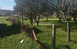 Poličnik, Zadarsko-kninska