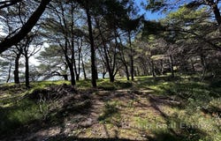 Makarska, Split-Dalmatia