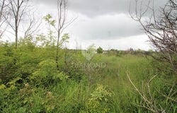 Ližnjan, Istarska