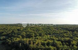 Vodnjan, Istarska