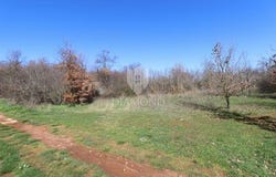 Marčana, Istarska