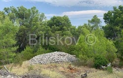 Supetar, Splitsko-dalmatinska 21400