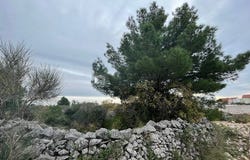 Vodice, Sibenska 22211