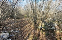 Krk, Primorsko-goranska
