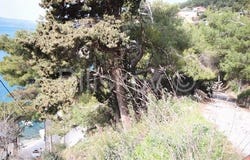 Omiš, Splitsko-dalmatinska 21318