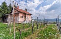 Varazdin, Varazdinska