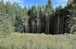 Ravna Gora, Primorsko-goranska