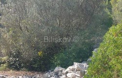 Vela luka, Dubrovacko-neretvanska 20270