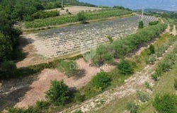 Pićan, Istarska